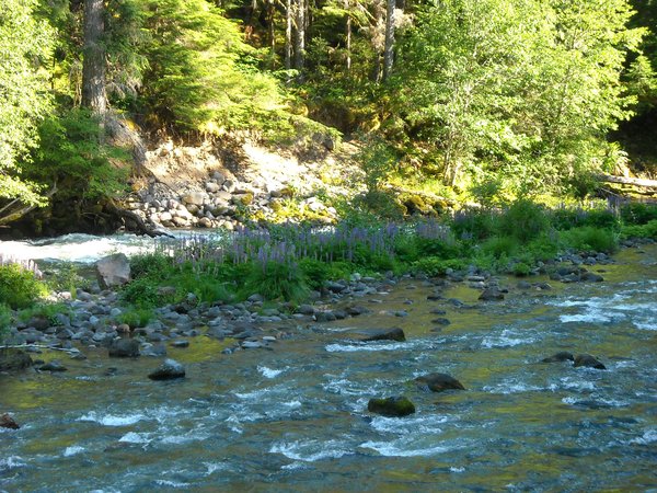 North Santiam River in Oregon