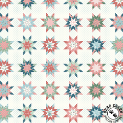 Riley Blake Designs Mary Catherine Star Cheater Print Multi Riley Blake Designs Mary Catherine Star Cheater Print Multi