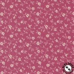 Moda Goodnight Irene Blossom Floral Vines Carnation Moda Goodnight Irene Blossom Floral Vines Carnation
