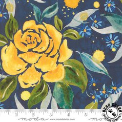 Moda Sunshine and Blue Skies 108 Inch Wide Backing Fabric Lake