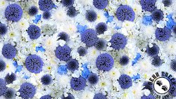 Maywood Studio Hand Picked Forget Me Not Globe Thistle 108 Inch Wide Backing Fabric White/Blue