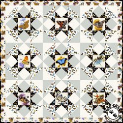 Butterflies and Moths Free Quilt Pattern