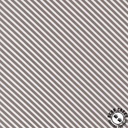 Moda In The Garden Bias Stripe Slate