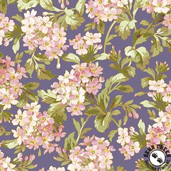 Maywood Studio Grand Entrance Traveling Phlox Dark Purple Maywood Studio Grand Entrance Traveling Phlox Dark Purple