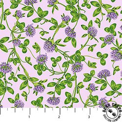 Northcott Honey and Clover Packed Clover Lavender