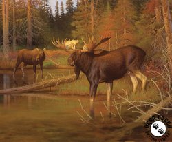 Riley Blake Designs Majestic in Nature Intruder Panel Riley Blake Designs Majestic in Nature Intruder Panel