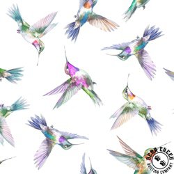 In The Beginning Fabrics Daydreams Hummingbirds Multi