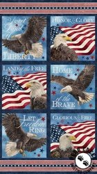 Northcott Stonehenge Stars and Stripes 13 Block Panel