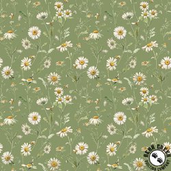 Riley Blake Designs Love Me More Daisies Green