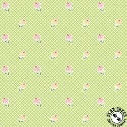 Riley Blake Designs Summer Skies and Fireflies Cone Flowers Lime Riley Blake Designs Summer Skies and Fireflies Cone Flowers Lime