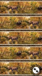 Northcott Naturescapes Wilderness Border Stripe Brown/Multi Northcott Naturescapes Wilderness Border Stripe Brown/Multi