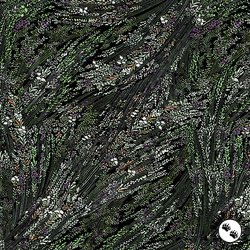 P&B Textiles Meadow Breeze 108 Inch Wide Backing Fabric Meadow Black P&B Textiles Meadow Breeze 108 Inch Wide Backing Fabric Meadow Black