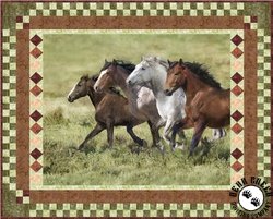 Wide Open Spaces - Born To Be Free Free Quilt Pattern Wide Open Spaces - Born To Be Free Free Quilt Pattern