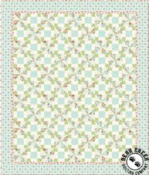 Serene Garden II Free Quilt Pattern