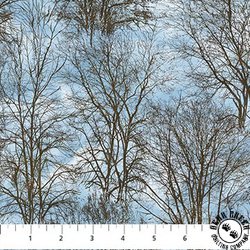 Northcott Naturescapes Solitude Trees Blue/Multi