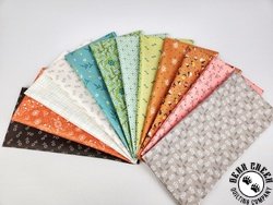 Lori Holt Extra Wide Strip Pack - OCTOBER 2025