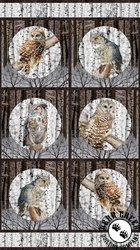 Northcott Naturescapes Solitude Circle Block Panel Northcott Naturescapes Solitude Circle Block Panel