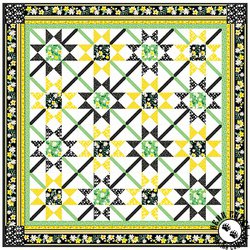 Delightful Daisies Free Quilt Pattern Delightful Daisies Free Quilt Pattern