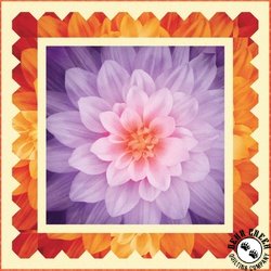 Dream Big - Simple Path Orchid Free Quilt Pattern Dream Big - Simple Path Orchid Free Quilt Pattern