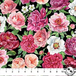 Northcott Blush Packed Floral Black/Multi