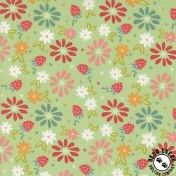 Moda Raspberry Summer Spring Berries Floral Mint Moda Raspberry Summer Spring Berries Floral Mint