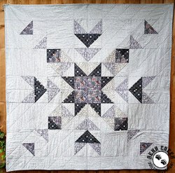 Winter In Bluebell Wood Star Quilt Free Pattern