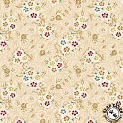 Henry Glass Sunwashed Romance 108 Inch Wide Backing Fabric Modern Floral Beige