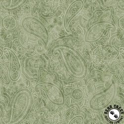 Blank Quilting Paisley Jane 108 Inch Wide Backing Fabric Sage Blank Quilting Paisley Jane 108 Inch Wide Backing Fabric Sage