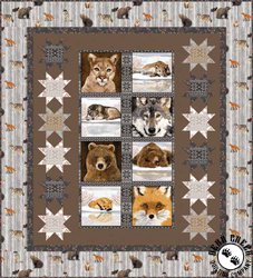 Reflections Free Quilt Pattern Reflections Free Quilt Pattern