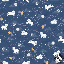 Riley Blake Designs Twinkle Little Star Main Nighttime