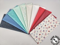 Star Spangled Beauty #1 Extra Wide Strip Pack