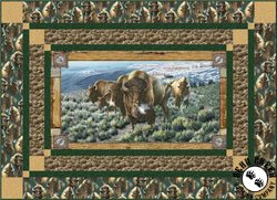 Where The Buffalo Roam Free Quilt Pattern by Quilting Treasures