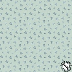 Riley Blake Designs Twilight Creatures Raccoons Mint