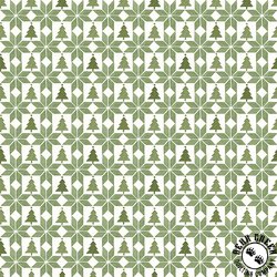 Riley Blake Designs Magical Winterland Patchwork Green