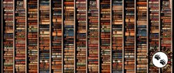 Qt Fabrics Bookworm Book Shelves Stripe Black