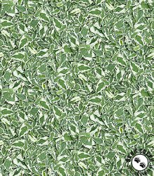 Maywood Studio Hand Picked Christmas Mistletoe Snow Green/White