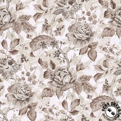 Windham Fabrics Dwell 108 Inch Wide Backing Fabric Entourage Cream
