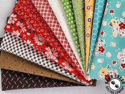 Lori Holt Extra Wide Strip Pack - MAY 2024