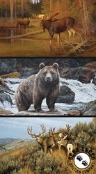 Riley Blake Designs Majestic in Nature Block Panel Riley Blake Designs Majestic in Nature Block Panel