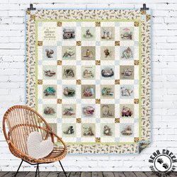 The Secret Life of Squirrels Nut Case Free Quilt Pattern
