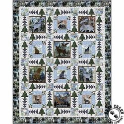 QT Fabrics The Wonder of Nature - Nature Adventures Whole Cloth Quilt Panel