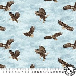 Northcott Stonehenge Eagle Pass Eagles Light Blue/Multi Northcott Stonehenge Eagle Pass Eagles Light Blue/Multi