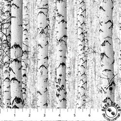 Northcott Naturescapes Solitude Birch Trees Gray
