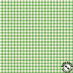 Riley Blake Designs Summer Skies and Fireflies Gingham Green