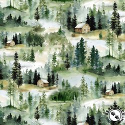 P&B Textiles Misty Vistas 108 Inch Wide Backing Fabric Allover Multi