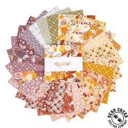 Evening on the Prairie 5