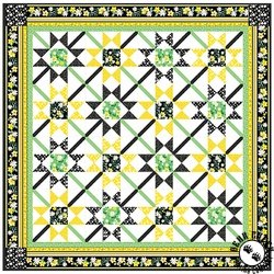 Delightful Daisies Free Quilt Pattern Delightful Daisies Free Quilt Pattern
