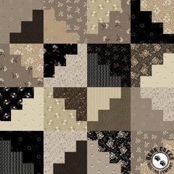 Windham Fabrics Circa Onyx Step By Step Cheater Print Onyx