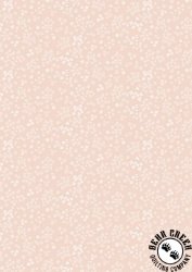 Lewis and Irene Sky Garden Wintersweet Pale Peach Lewis and Irene Sky Garden Wintersweet Pale Peach