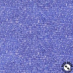 Moda Delphinium Palette Agapanthus